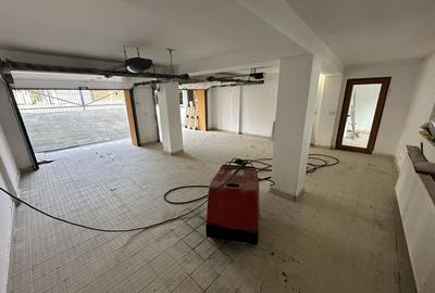 Proprietate cu piscina Dumbravita - 59