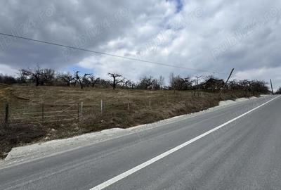 Teren în Micloșanii Mici - 2