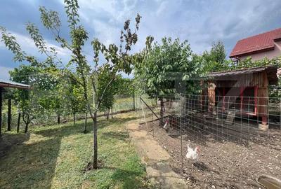 Casa cu 2 camere curte spa?ioasa ?i gradina ingrijita - 18
