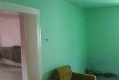 Casă cu 4 camere cu Teren 1130 Mp în Uivar - 6