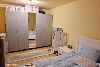De vanzare casa superba in Livezeni, Orizont, 920 mp curte aranjata, asfalt - 17