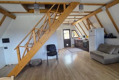 Vand casa cu teren 2500mp - 2