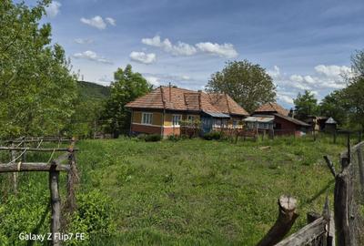 Casă cu 3 camere în Băla - 5