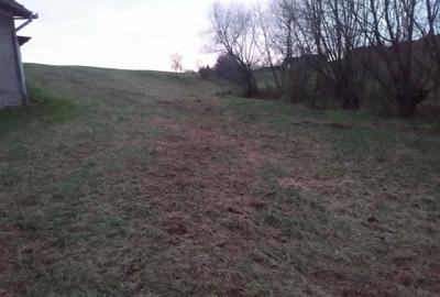 Spațiu comercial, în Dușești - 1