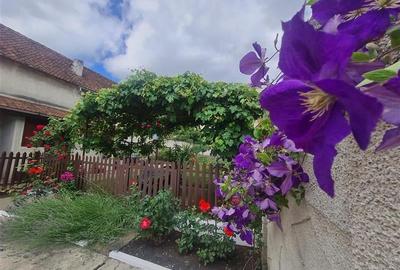 Poveste saseasca la umbra vitei de vie, cu crama si gradina cu flori, Central Co - 22