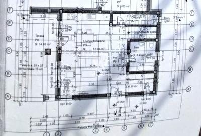 Casa Selimbar - Curte 500 mp - 5