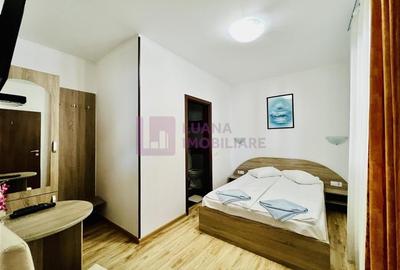 Afacere la cheie | Vila de 3 stele | Paltinis | amenajata complet - 17