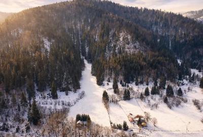 Teren de 7800 mp, în Lunca - 2