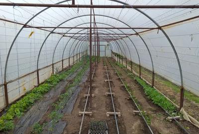 Casă cu 4 camere în Sărățeni - 7