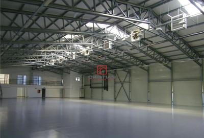 Depozit/hala/spatiu industrial Theodor Pallady - Drumul Int - 3