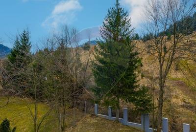 Teren Construcții intravilan de 857 mp, în Nord-Est - 12