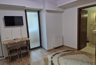 Garsonieră semidecomandată, mobilată în Timpuri Noi - 6