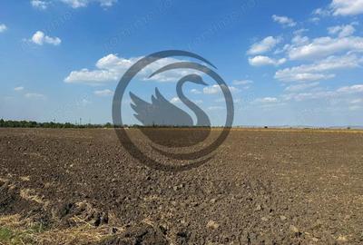 Teren extravilan de vanzare | 9882mp | Berceni - Prahova | Comision 0% - 8