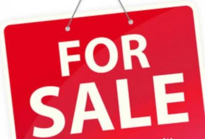 Teren de 3500 mp, în Horodnic - 1