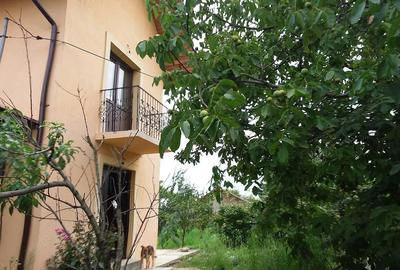 Casă cu 2 camere cu Teren 45000 Mp în Bărbătescu - 6