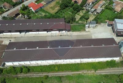 Spațiu comercial, de 2,500 mp, în Sângeorgiu de Pădure - 12