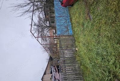 Gospodarie cu 2 case Comuna Trivale Mosteni, sat , la 30 km de Alexandria, jude?ul Teleorman - 4