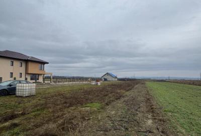 Teren de 5000 mp, în Mocira - 1