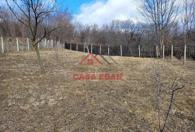 Casă cu Teren 2991 Mp în Cornu - 4