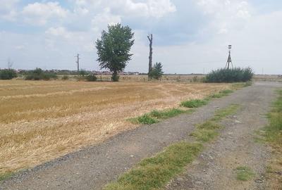 Teren Construcții intravilan de 383 mp, în Vidra