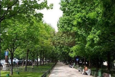 Apartament cu 3 camere decomandat în Unirii