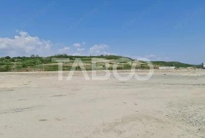 Teren de 40000 mp, în Teiu - 7