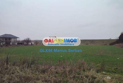 Vanzare teren Clinceni - 8