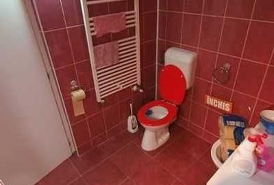 Spațiu comercial, de 30 mp, în Dosu Bricii