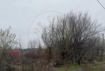Teren de 533 mp, în Albota - 5