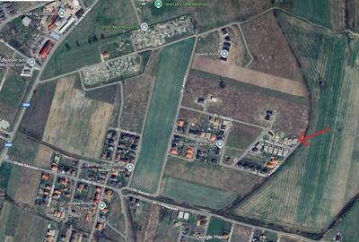 Casa individuala in Mosnita - 4