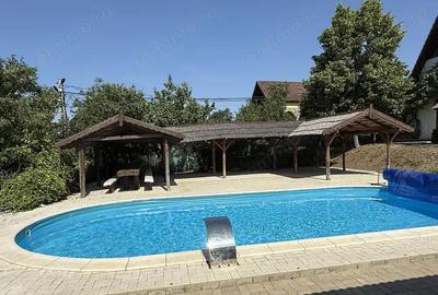 Casa cu piscina Pensiune Restaurant - Pe malul lacului din Paleu - IMOBIHOR - 10