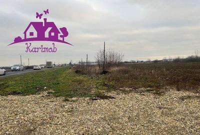 Teren industrial la soseaua nationala Nojorid les - 3