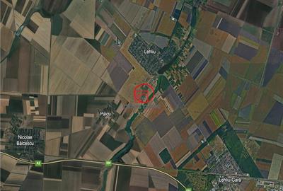 Teren de 250000 mp, în Lehliu - 2