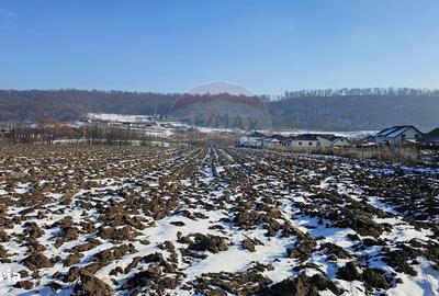 Spațiu comercial, în Central