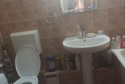 Drumul Taberei, bd. 1 Mai (vis a vis) de Hanul Drumetului - 6