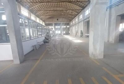 Spațiu comercial, de 3,500 mp, în Bereasca - 15