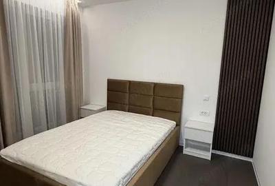 Apartament cu 2 camere semidecomandat în Buziașului - 3