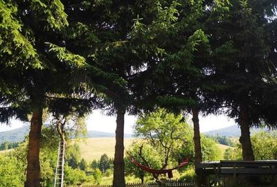 Casă cu 4 camere în Brebu - 1