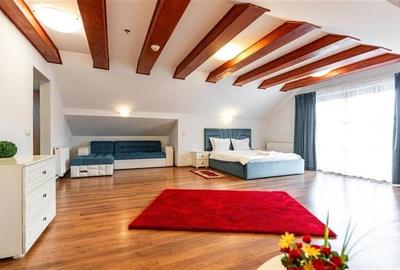 Complex turistic cu privelisti picturale,apa curativa,aer pur,o experienta de in - 6