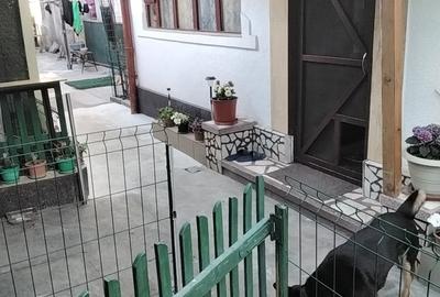 Sector 1, Bucuresti