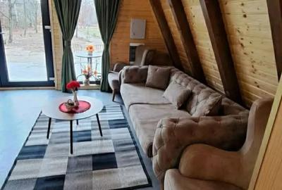 Vand schimb cabana la munte - 2