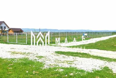 Teren agricol de 8000 mp, în Central - 2