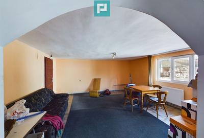 Fabrica de prelucrare a lemnului ?i palului - 19