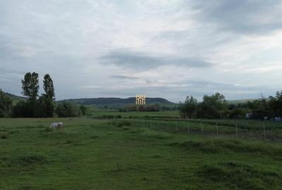 Teren 3953 mp Falticeni Tarna Mare De 0727817187 - 25