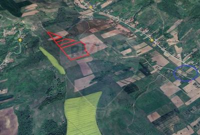 Teren agricol de vanzare Colonesti Bacau - 2