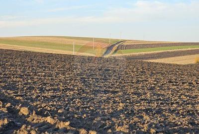 Teren de 30077 mp, în Stroiești - 11