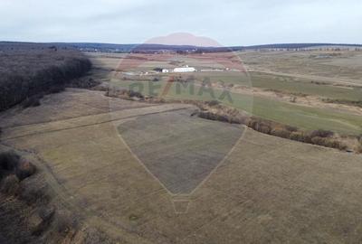 Teren agricol intravilan de 2592 mp, în Lipoveni - 6