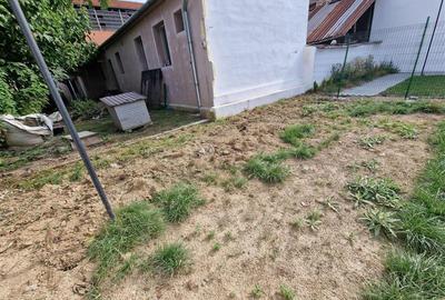 Casă individuală cu 6 camere cu Teren 306 Mp în Muncitoresc - 3