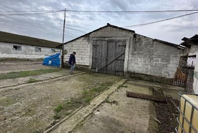 Spațiu comercial, în Stelnica - 6