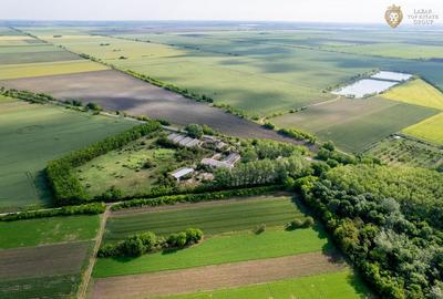 Cladire industriala de vanzare cu potential 3,5 ha in Batania - 14
